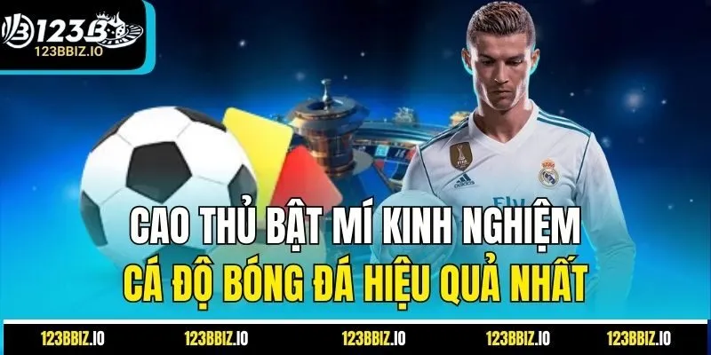 Cao Thủ Bật Mí Kinh Nghiệm Cá Độ Bóng Đá Hiệu Quả Nhất