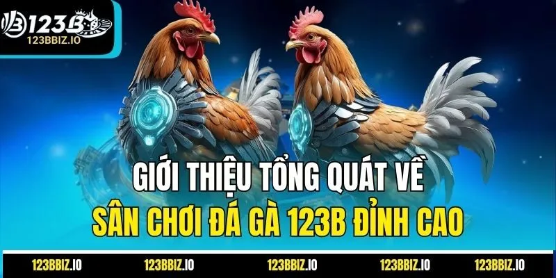 Giới thiệu tổng quát về sân chơi đá gà 123B đỉnh cao